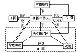 關(guān)于河?xùn)|鹽池“南風(fēng)一吹，隔宿成鹽”的氣象成因解析